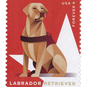 Forever Stamps 2019 Labrador Retriever – Honor & Service, First-Class Postage