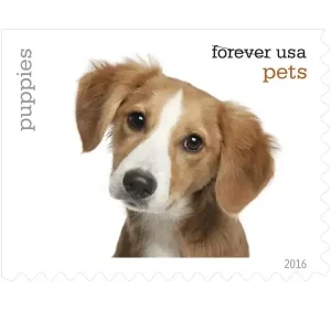 Forever Stamps 2016 Pets – Animal Companions (Puppies), First-Class Postage